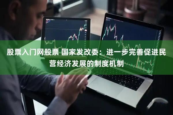 股票入门网股票 国家发改委：进一步完善促进民营经济发展的制度机制