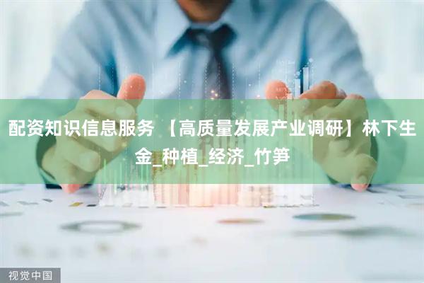 配资知识信息服务 【高质量发展产业调研】林下生金_种植_经济_竹笋